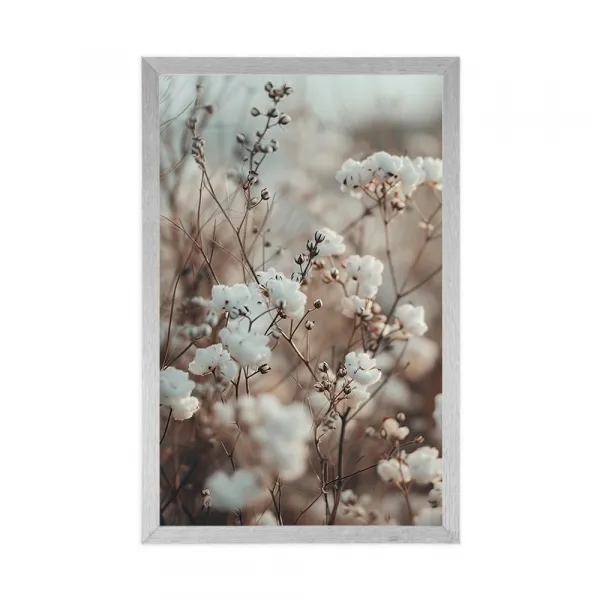 Plagát rastlina bavlník