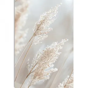 Obraz béžové trstiny