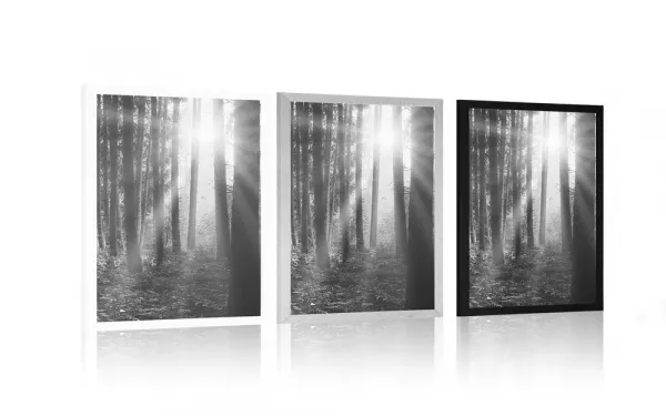 Plagát východ slnka v lese v čiernobielom prevedení