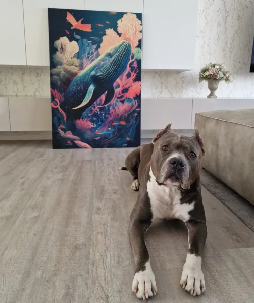 Obraz surrealistická veľryba