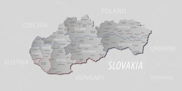 Obraz sivá mapa Slovenska s decentným kontrastom