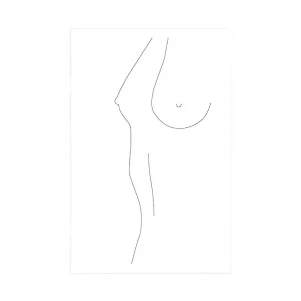 Plagát minimalistická silueta ženského tela