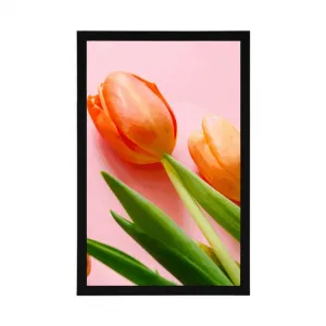 Plagát tulipán