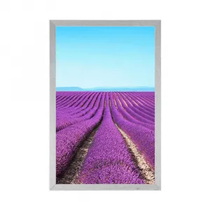Plagát nekonečné levanduľové pole