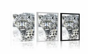 Plagát kreslený leopard
