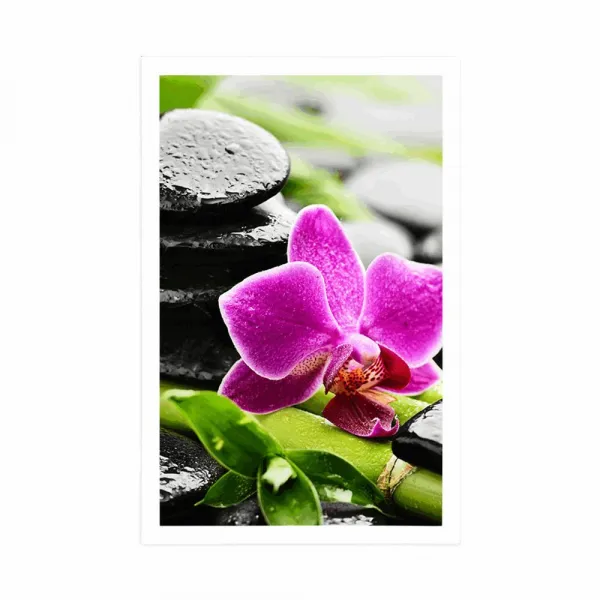 Plagát wellness zátišie s fialovou orchideou