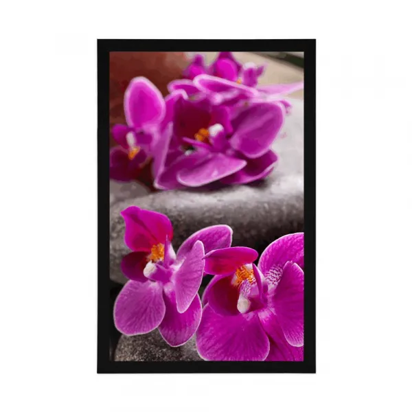 Plagát nádherná orchidea a Zen kamene