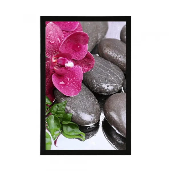 Plagát kvitnúca orchidea a wellness kamene