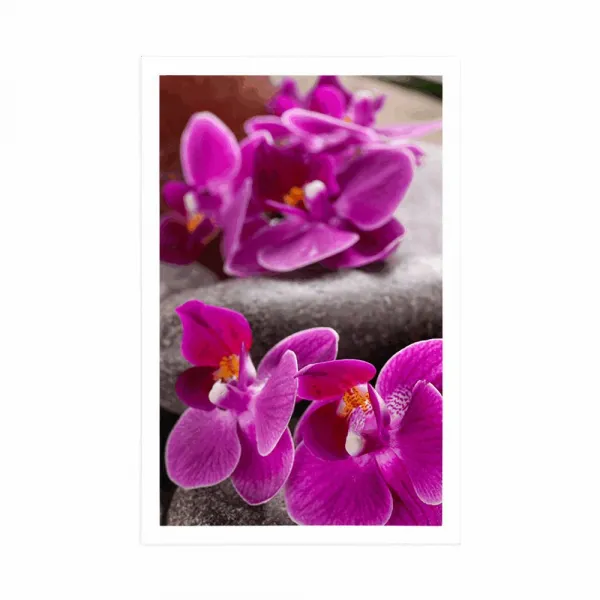 Plagát nádherná orchidea a Zen kamene