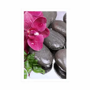 Plagát kvitnúca orchidea a wellness kamene