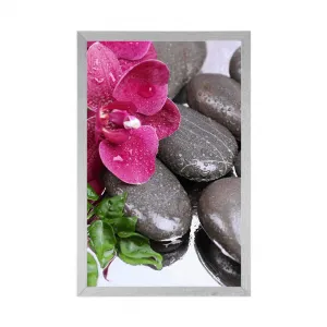 Plagát kvitnúca orchidea a wellness kamene