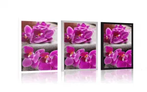 Plagát nádherná orchidea a Zen kamene