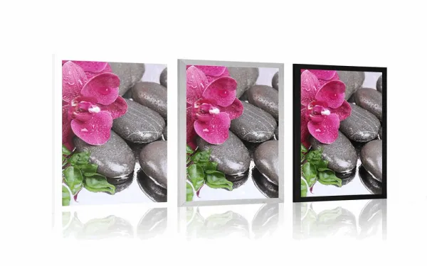 Plagát kvitnúca orchidea a wellness kamene