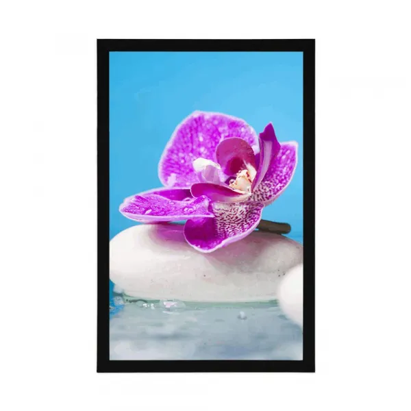 Plagát orchidea a Zen kamene