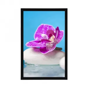 Plagát orchidea a Zen kamene