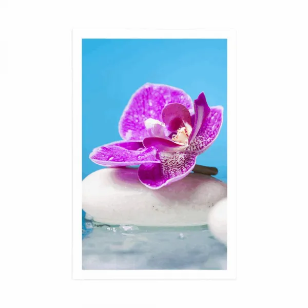 Plagát orchidea a Zen kamene