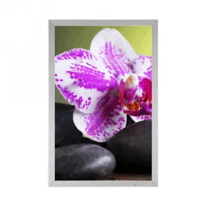 Plagát orchidea a čierne kamene