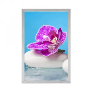 Plagát orchidea a Zen kamene