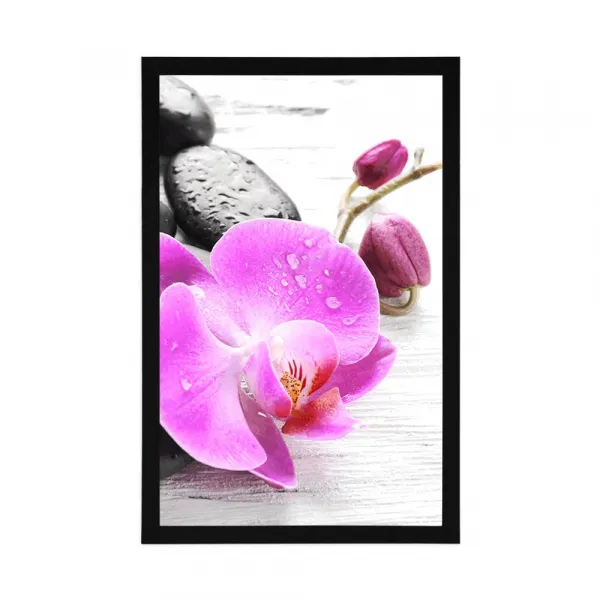 Plagát kúzelná súhra kameňov a orchidey