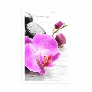 Plagát kúzelná súhra kameňov a orchidey