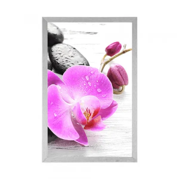 Plagát kúzelná súhra kameňov a orchidey