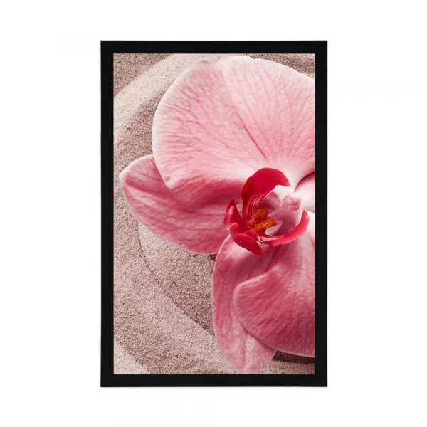 Plagát morský piesok a ružová orchidea