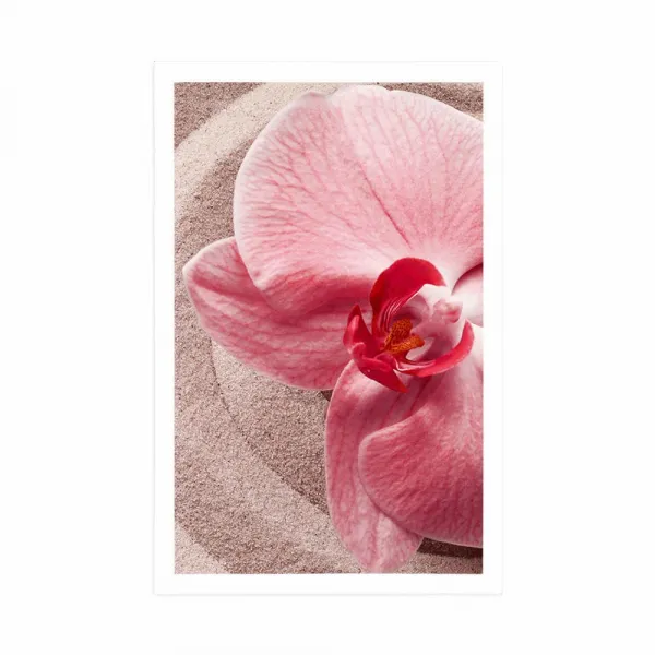 Plagát morský piesok a ružová orchidea