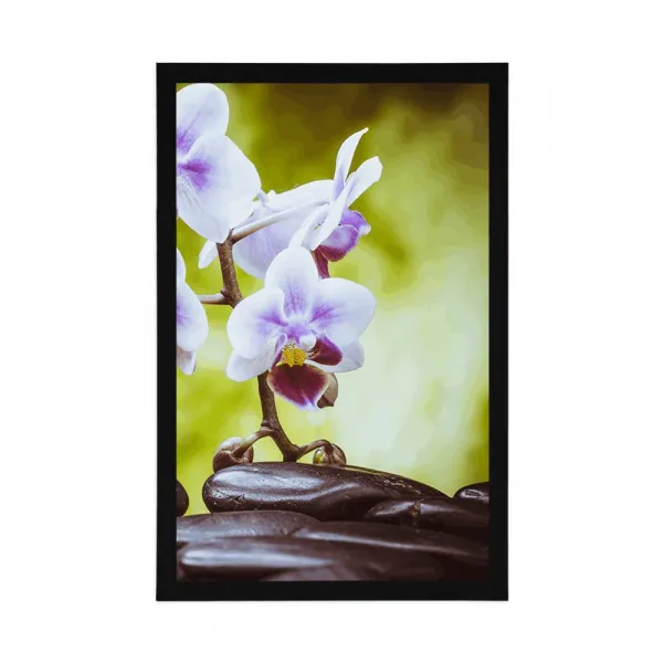 Plagát zen kamene a orchidea