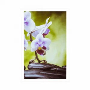 Plagát zen kamene a orchidea