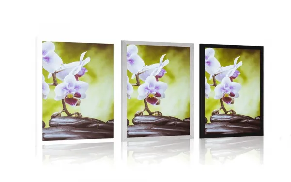 Plagát zen kamene a orchidea