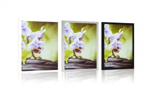 Plagát zen kamene a orchidea