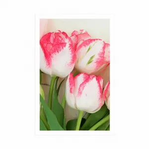 Plagát jarné tulipány