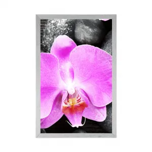 Plagát nádherná orchidea a kamene