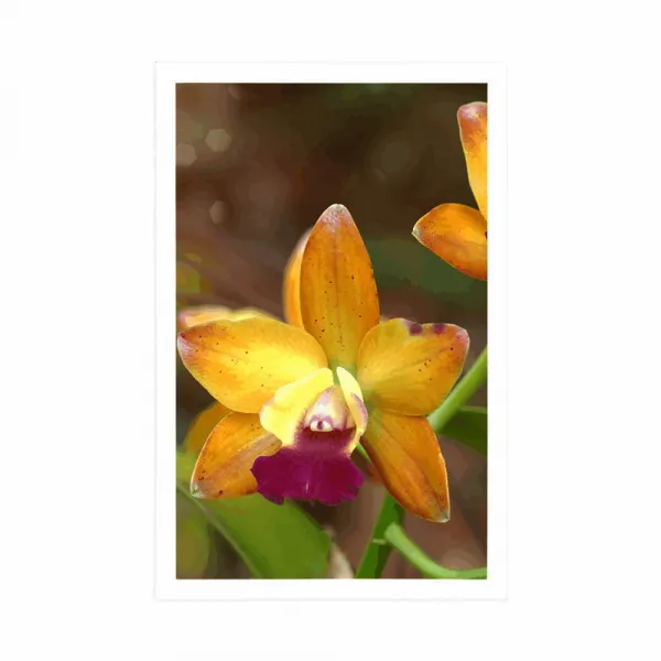 Plagát oranžová orchidea