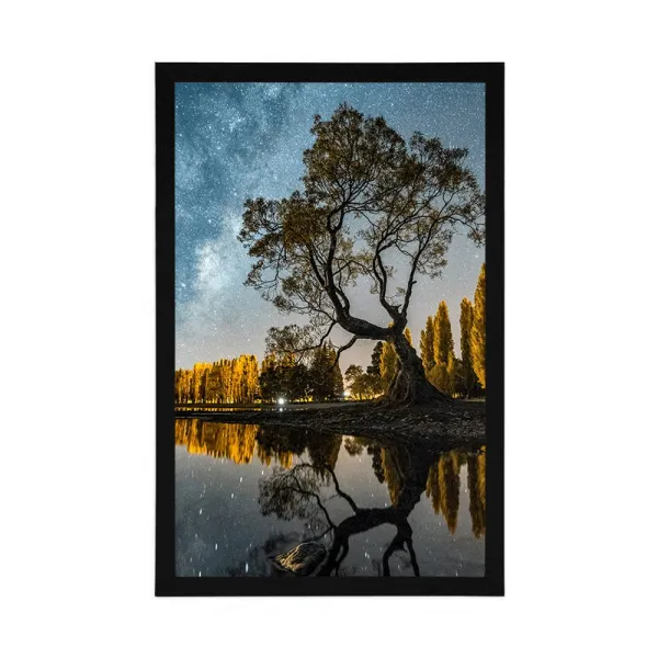 Plagát strom pod hviezdnou oblohou