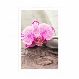 Plagát s paspartou orchidea a Zen kamene na drevenom podklade
