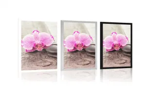 Plagát s paspartou orchidea a Zen kamene na drevenom podklade