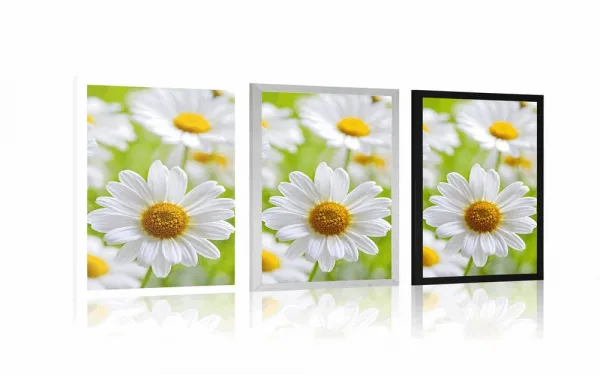 Plagát jarná lúka plná kvetov
