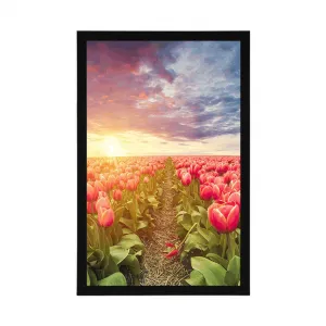 Plagát východ slnka nad lúkou s tulipánmi