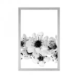 Plagát čerešňové kvety v čiernobielom prevedení