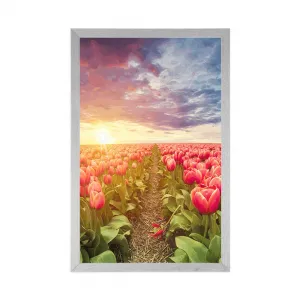 Plagát východ slnka nad lúkou s tulipánmi