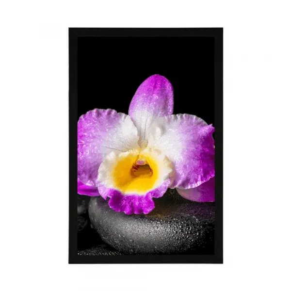 Plagát s paspartou fialová orchidea na Zen kameňoch
