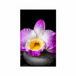 Plagát s paspartou fialová orchidea na Zen kameňoch