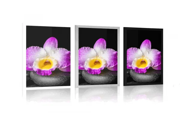 Plagát s paspartou fialová orchidea na Zen kameňoch
