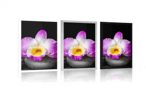 Plagát s paspartou fialová orchidea na Zen kameňoch