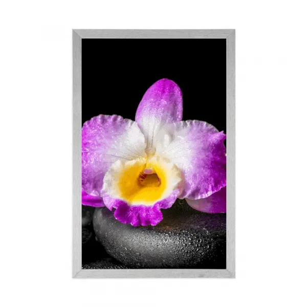 Plagát s paspartou fialová orchidea na Zen kameňoch