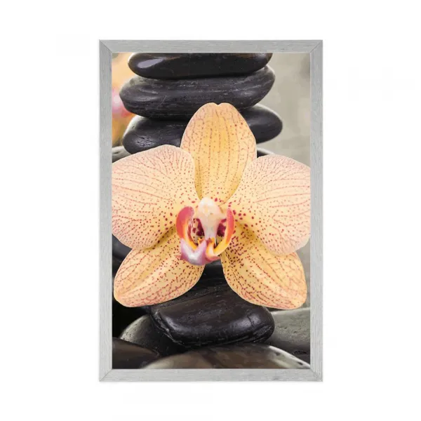Plagát žltá orchidea a Zen kamene