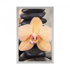 Plagát žltá orchidea a Zen kamene