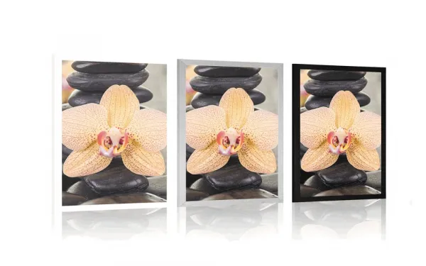 Plagát žltá orchidea a Zen kamene