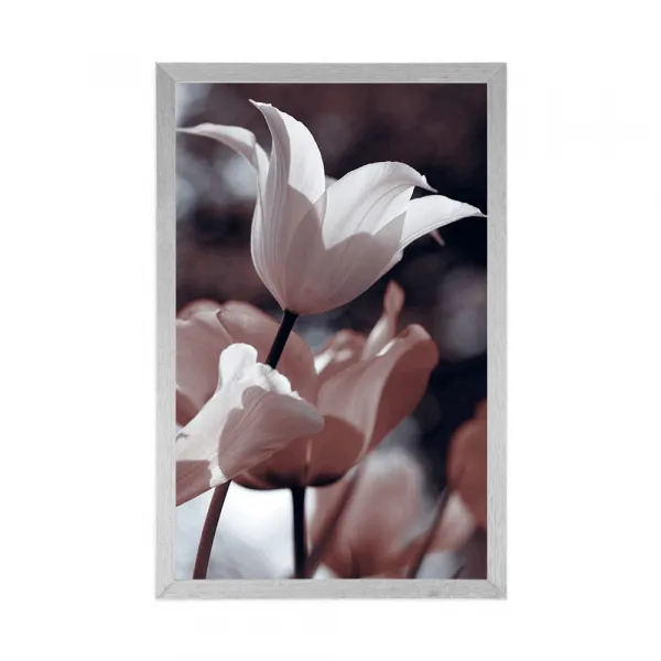 Plagát jarné tulipány v parku